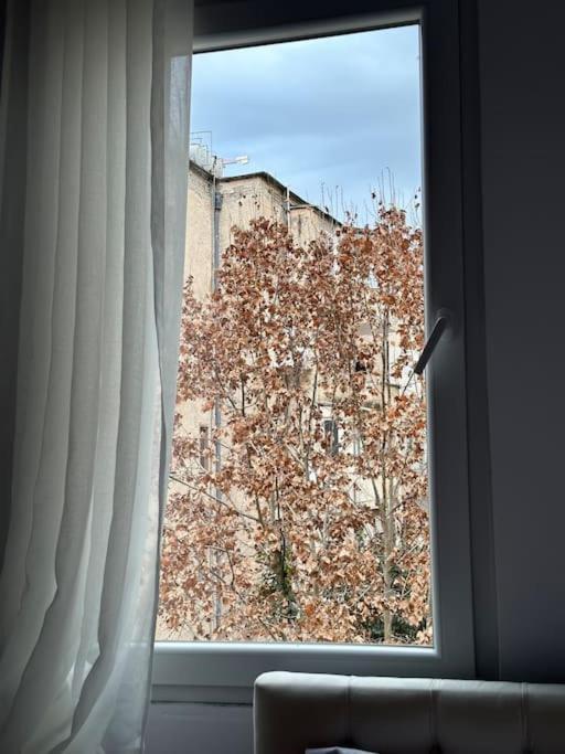 Cozy In Tirana